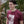Load image into Gallery viewer, Your Voice Is Your Power T-Shirts
